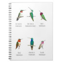 Pesquisar por colibri cadernos de notas Beija flor