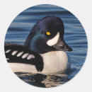 Pesquisar por perfil adesivos Branco