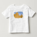Pesquisar por djenne camisetas Crença