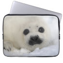 Pesquisar por corpo animal capas Dia