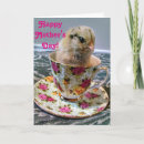 Pesquisar por pintinho feliz cartoes postais Mães