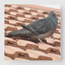 Pesquisar por pomba relogios de parede Aves