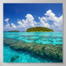 Pesquisar por tropical na pôsteres pósteres Coral