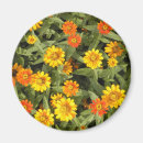 Pesquisar por nature imas Flores