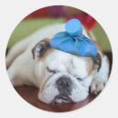 Pesquisar por charadas adesivos Fofofo