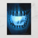 Pesquisar por boca humana cartoes postais Dentes humanos