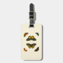 Pesquisar por borboleta branca bagagem tags Borboletas