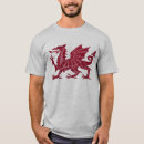 Pesquisar por goch do ddraig de y Bandeira