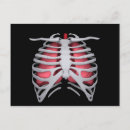 Pesquisar por respiratório sistema cartoes postais Medicina