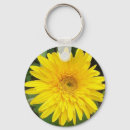 Pesquisar por margarida do gerbera fotografia Amarelo