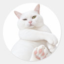 Pesquisar por gatos engraçados adesivos Amante de gatos