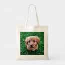 Pesquisar por cópia bolsas Cão