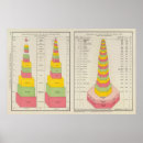 Pesquisar por produção pósteres Estatístico