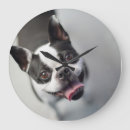 Pesquisar por buldogue francês relogios de parede Animais