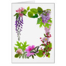 Pesquisar por glicínias cartoes postais Plantas