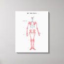 Pesquisar por esqueleto impressão de canvas Anatomia