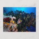Pesquisar por underwater cartoes postais Areia