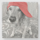 Pesquisar por bonés porta copos Para todos