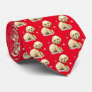 Pesquisar por poodle gravatas Cachorrinho