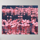 Pesquisar por flock pôsteres pósteres Flamingo