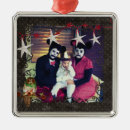 Pesquisar por fotos da coruja ornamentos Animais