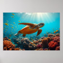 Pesquisar por peixes marinhos pôsteres pósteres Recife de coral