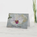 Pesquisar por flor orquídea cartoes Branco