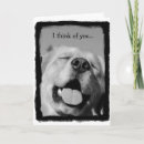 Pesquisar por feliz do golden retriever cartoes Para todos
