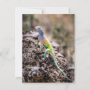 Pesquisar por lizard cartoes postais Gecko