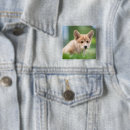 Pesquisar por pembroke botons Canino