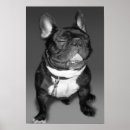Pesquisar por artística pôsteres pósteres Fotografia