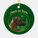 Pesquisar por decoração de cavalo ornamentos Rodeio