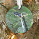 Pesquisar por cobra ornamentos Vida selvagem