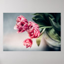 Pesquisar por tulipa pôsteres pósteres Vaso