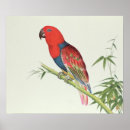 Pesquisar por bambu pôsteres pósteres Pintura