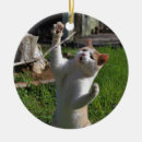 Pesquisar por garras ornamentos Gato