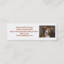 Pesquisar por apbt Americano