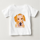 Pesquisar por de labrador retriever roupas Cão