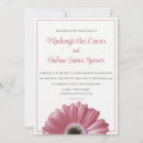 Pesquisar por gerberas gerberas casamento convites Gerbera daisy