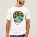 Pesquisar por jacarés florida camisetas Caminhada