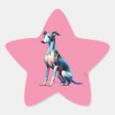 Pesquisar por galgo italiano adesivos Cães