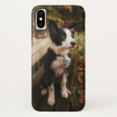 Pesquisar por de border collie iphone capas Para todos
