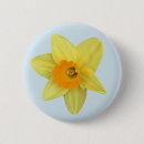 Pesquisar por do daffodil botons Flor