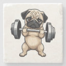 Pesquisar por malhação porta copos Ajustado