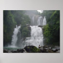Pesquisar por costela fotografia Selva