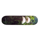 Pesquisar por cogumelos skates Floresta