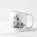 Pesquisar por gato ragdoll canecas Gatinho