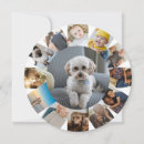 Pesquisar por ferias cartoes Colagem