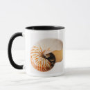 Pesquisar por nautilus canecas Animais