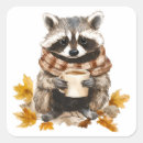 Pesquisar por guaxinim adesivos Fofofo